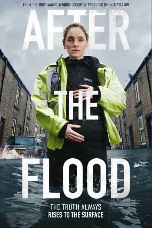 Постер После потопа