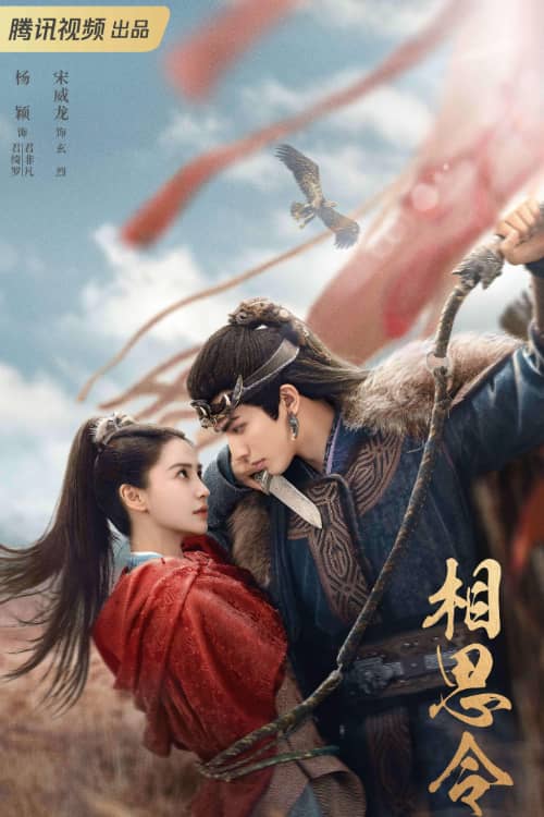 Постер Похищенная невеста