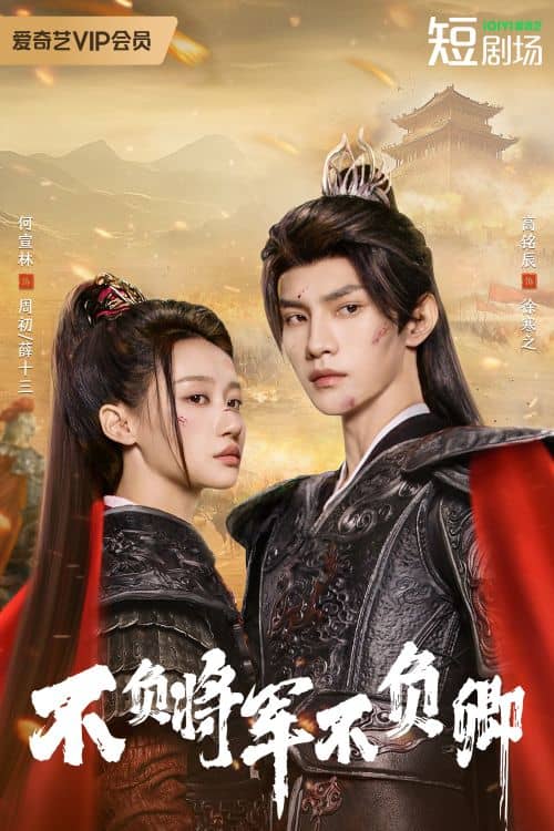 Постер Всегда мой генерал