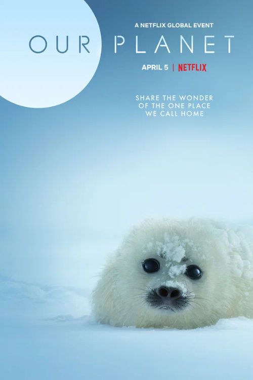 Постер Наша планета