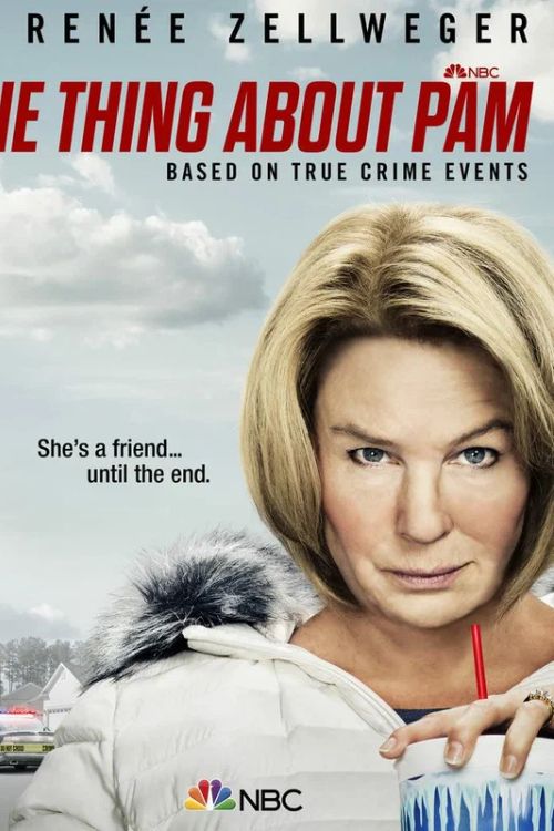 Постер Кое-что о Пэм